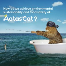 画像8: 最短賞味2027.8・アタスキャット フルーティーフィースト チキンｗｉｔｈキウイ70g 全年齢猫用一般食ata33625 (8)