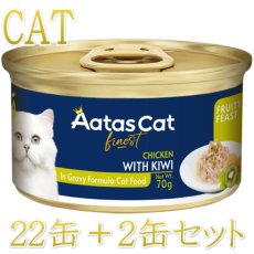 画像1: 最短賞味2027.8・アタスキャット フルーティーフィースト チキンｗｉｔｈキウイ70g×24個 全年齢猫用一般食ata33625 (1)