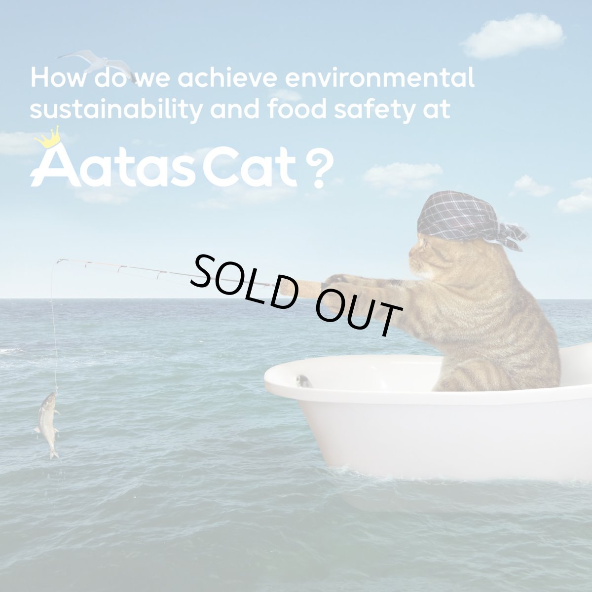 画像8: SALE・20％off最短賞味2028.10・アタスキャット ソウルスーパーフード ツナｗｉｔｈケール80g 全年齢猫用一般食ata33717 (8)