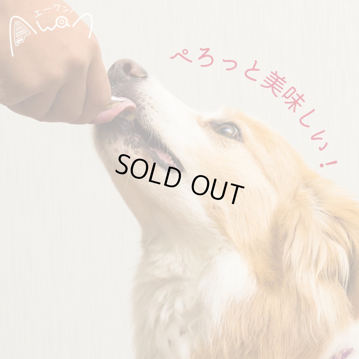 画像2: 最短賞味2027.1・エーワン 馬肉ぺろりん 10g×5本犬用おやつawa61046正規品 (2)