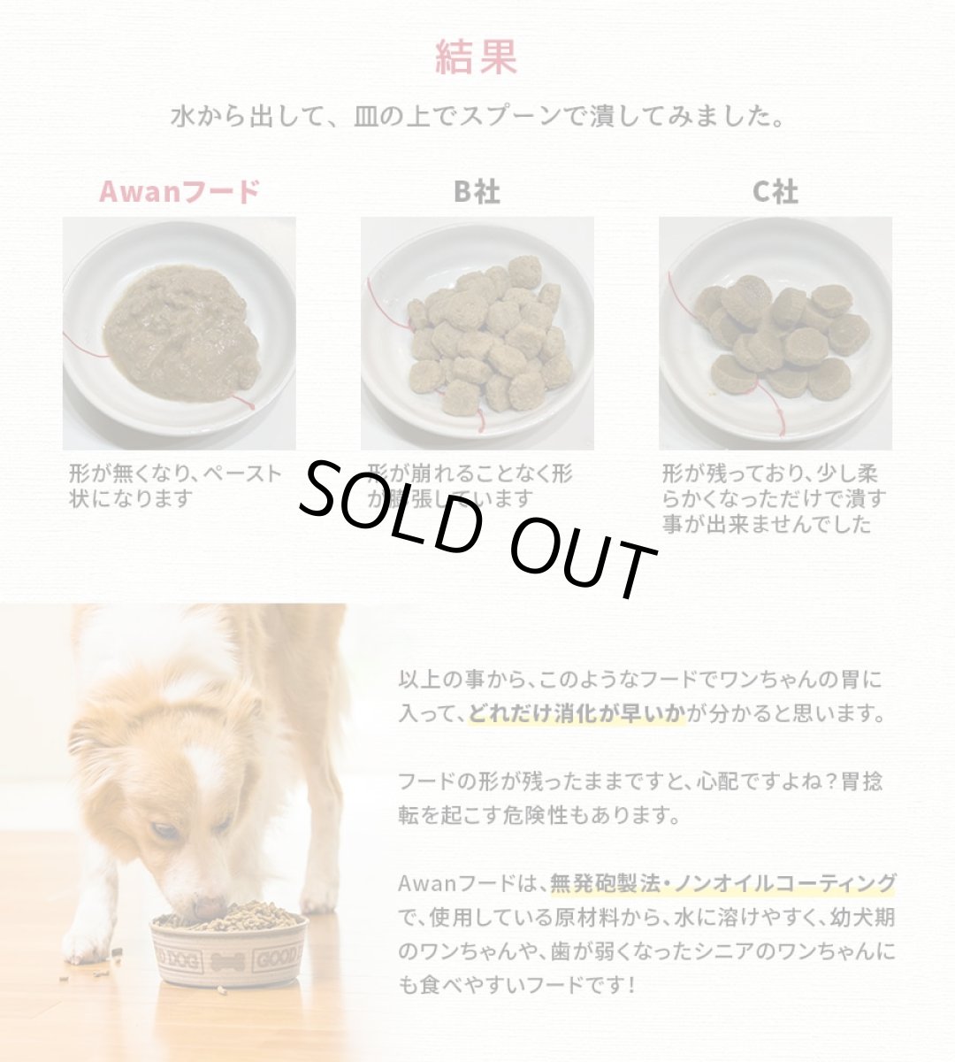 画像4: 最短賞味2026.4.1・Awan エーワン 魚肉ドッグフード 500g グルテンフリー正規品awa61473 (4)