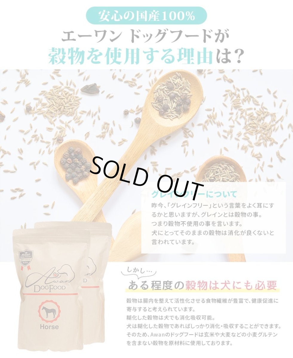 画像6: 最短賞味2026.4.1・Awan エーワン 魚肉ドッグフード 500g グルテンフリー正規品awa61473 (6)