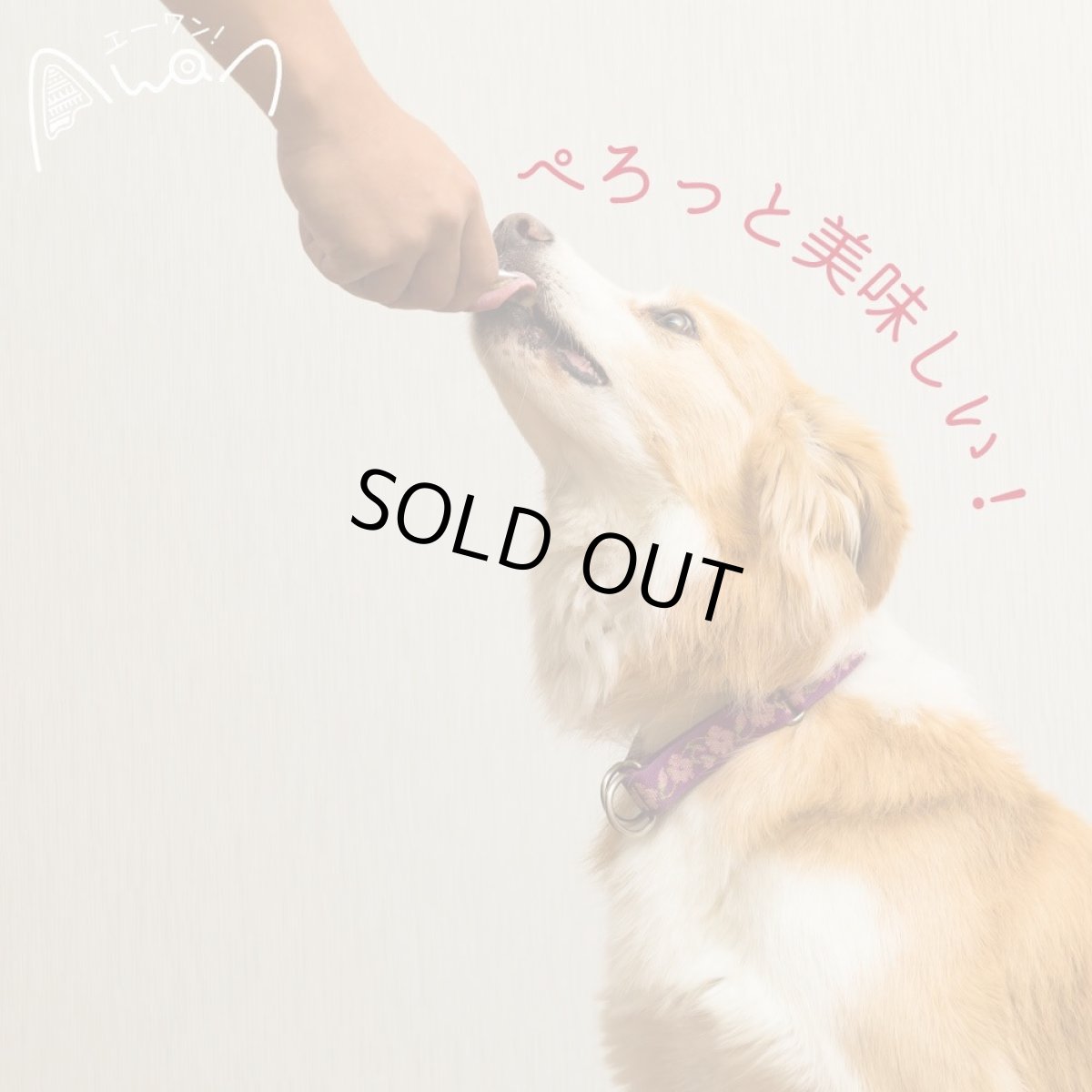 画像3: 最短賞味2027.2・エーワン 鹿肉ぺろりん 10g×5本犬用おやつawa61909正規品 (3)