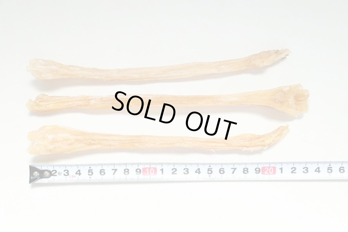 画像3: 最短賞味2026.7・エーワン 鹿のアキレス ロング3本犬用おやつawa62098正規品 (3)