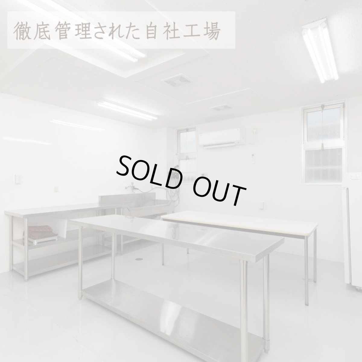 画像5: 最短賞味2026.7・エーワン 鹿のアキレス ロング3本犬用おやつawa62098正規品 (5)