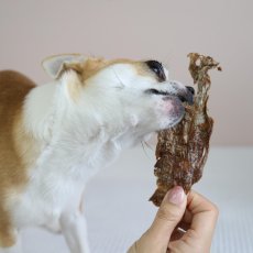 画像5: NEW 最短賞味2026.7・エーワン ササミなカモせん30g犬用おやつawa62333正規品 (5)