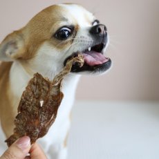 画像6: NEW 最短賞味2026.7・エーワン ササミなカモせん30g犬用おやつawa62333正規品 (6)