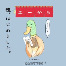 画像8: NEW 最短賞味2026.7・エーワン ササミなカモせん30g犬用おやつawa62333正規品 (8)