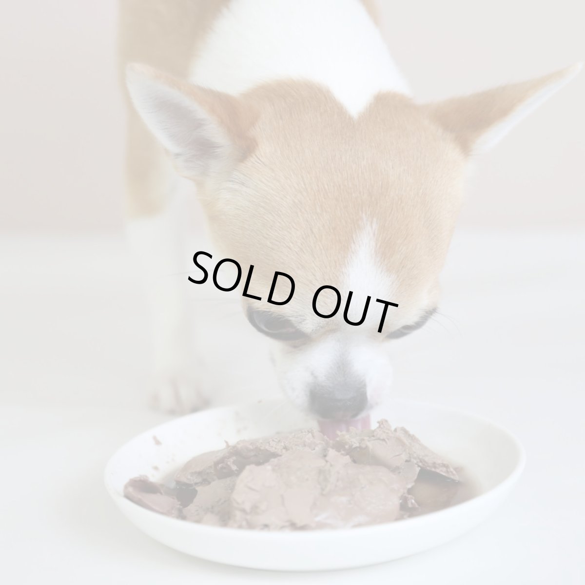 画像5: 最短賞味2026.7・エーワン レバーカモ100g全年齢犬用 補助食awa62401正規品 (5)