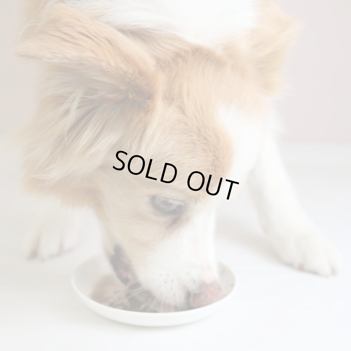 画像6: 最短賞味2026.7・エーワン レバーカモ100g全年齢犬用 補助食awa62401正規品 (6)