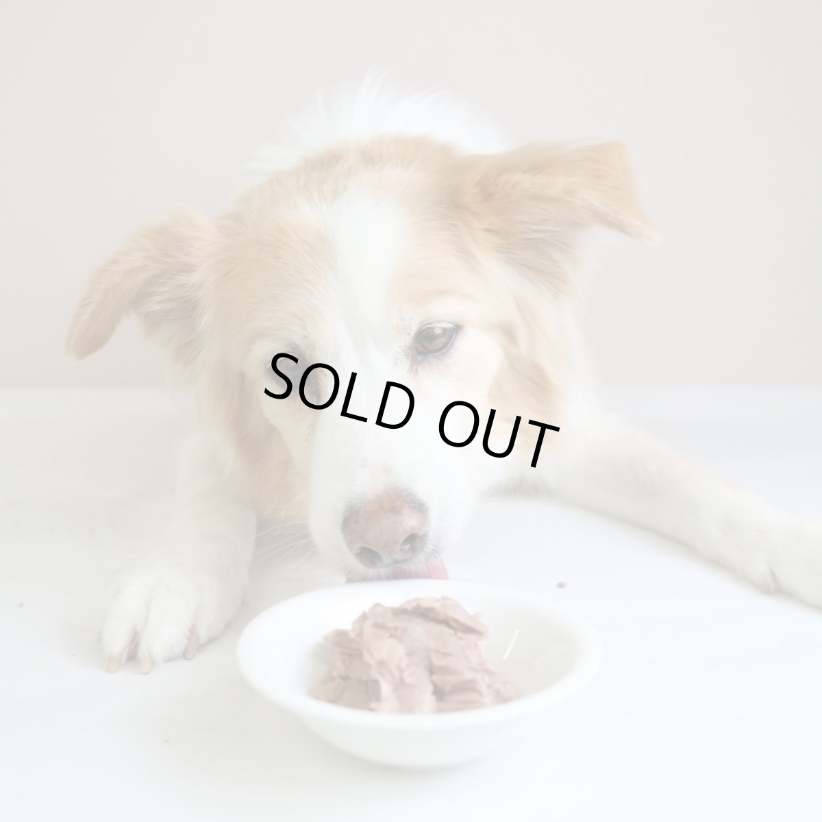 画像5: 最短賞味2026.7・エーワン カモ・ナ・ササーミ100g全年齢犬用 補助食awa62418正規品 (5)