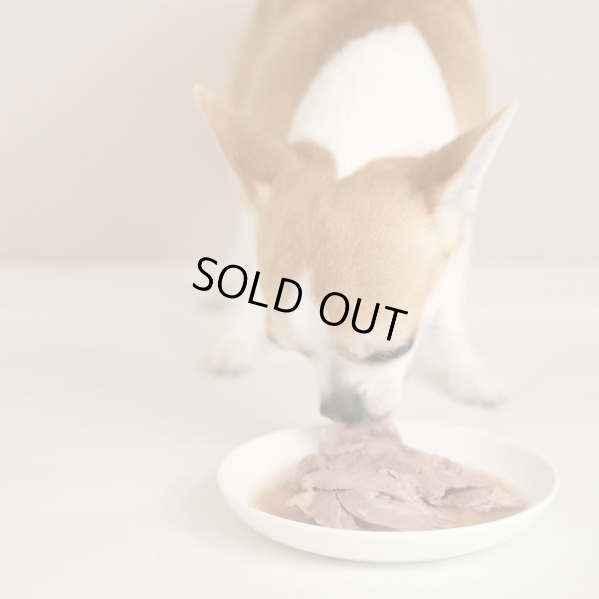 画像6: 最短賞味2026.7・エーワン カモ・ナ・ササーミ100g全年齢犬用 補助食awa62418正規品 (6)