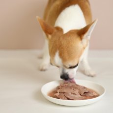 画像6: NEW 最短賞味2026.5・エーワン カモ・ナ・ササーミ100g全年齢犬用 補助食awa62418正規品 (6)