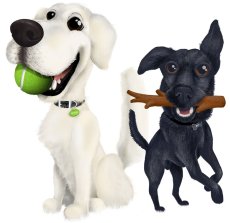 画像7: NEW 最短賞味2026.11.25・ベイリーコー 犬用フリーズドライ コンプリート ビーフ50g4袋セット！Bailey+Co正規品bac22207 SALE (7)