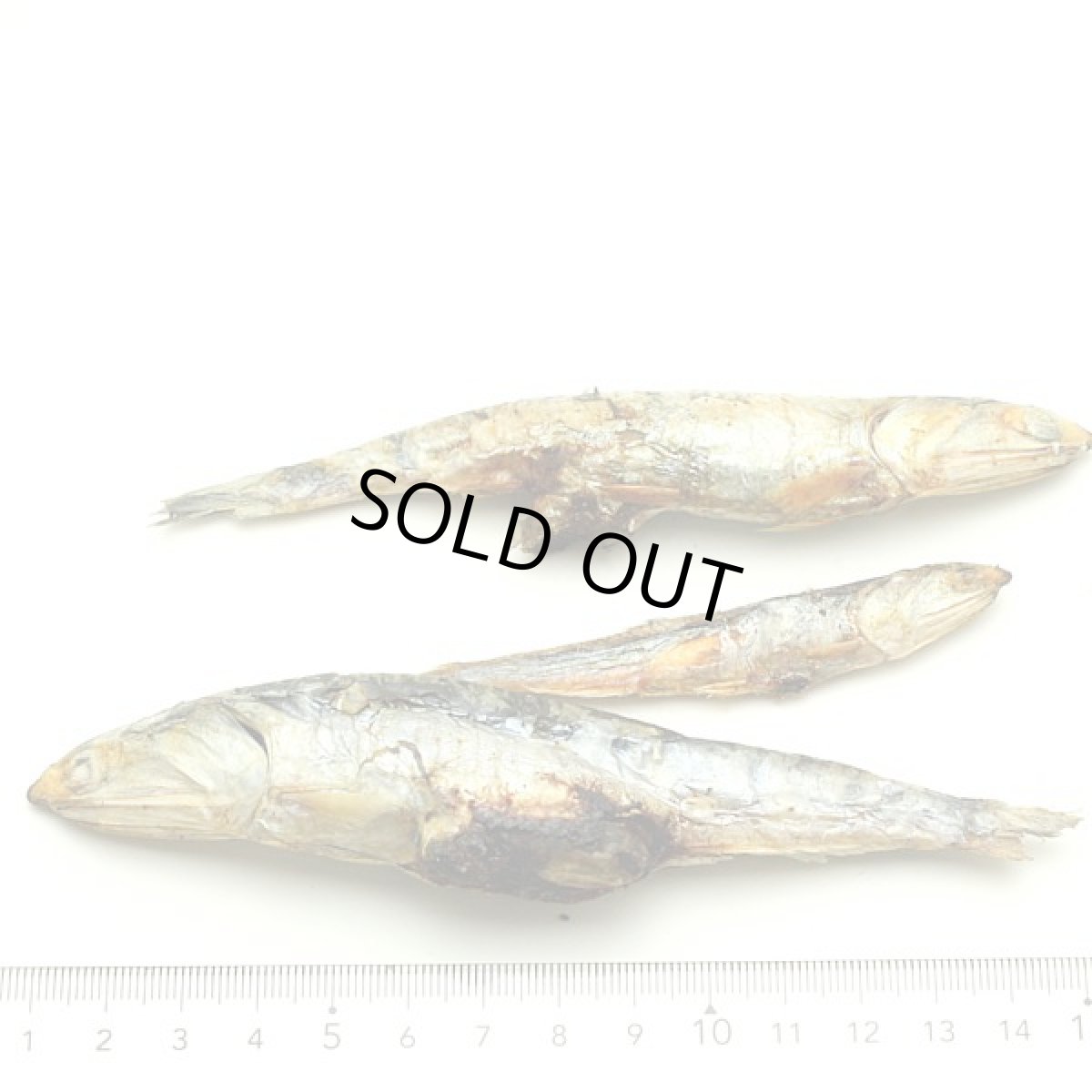 画像2: 最短賞味2027.1・ベイリーコー 猫用フリーズドライ 丸ごとアンチョビ70gおやつBailey+Co正規品bacncsa70 (2)