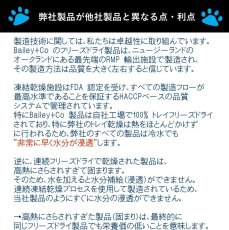 画像5: NEW 最短賞味2027.1・ベイリーコー 猫用フリーズドライ 丸ごとアンチョビ70gおやつBailey+Co正規品bacncsa70 (5)