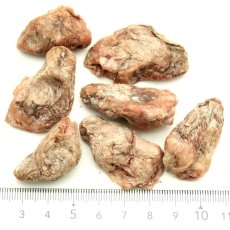 画像2: NEW 最短賞味2028.2・ベイリーコー 猫用フリーズドライ 丸ごとチキンハート70gおやつBailey+Co正規品bacncsh70 (2)