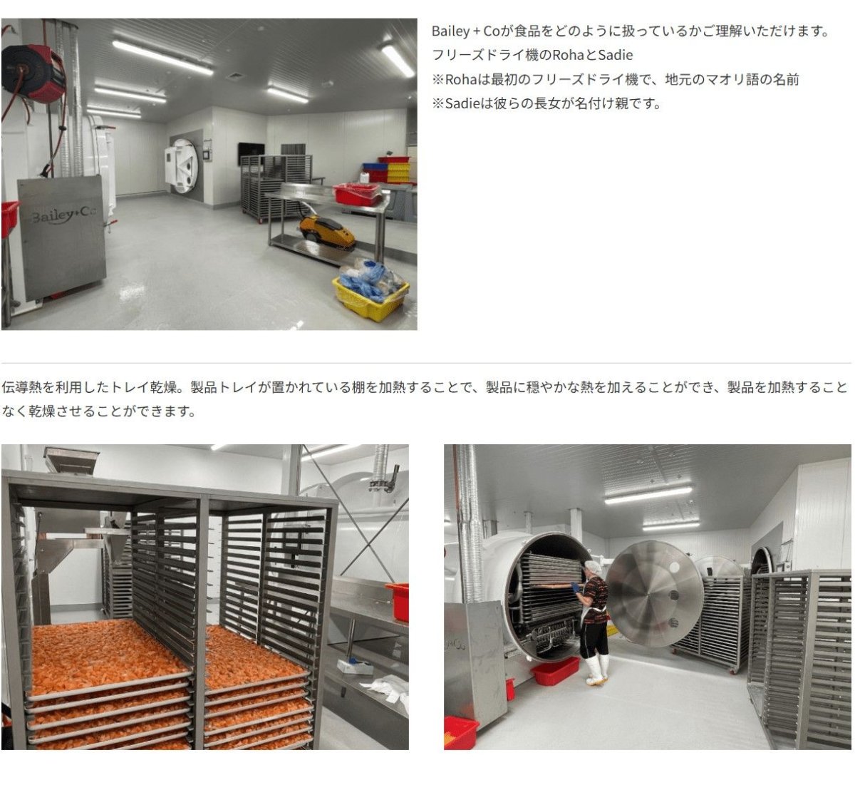 画像7: 最短賞味2027.5.5・ベイリーコー 犬用フリーズドライ コンプリート ラム500gドッグフードBailey+Co正規品bacnl500 (7)