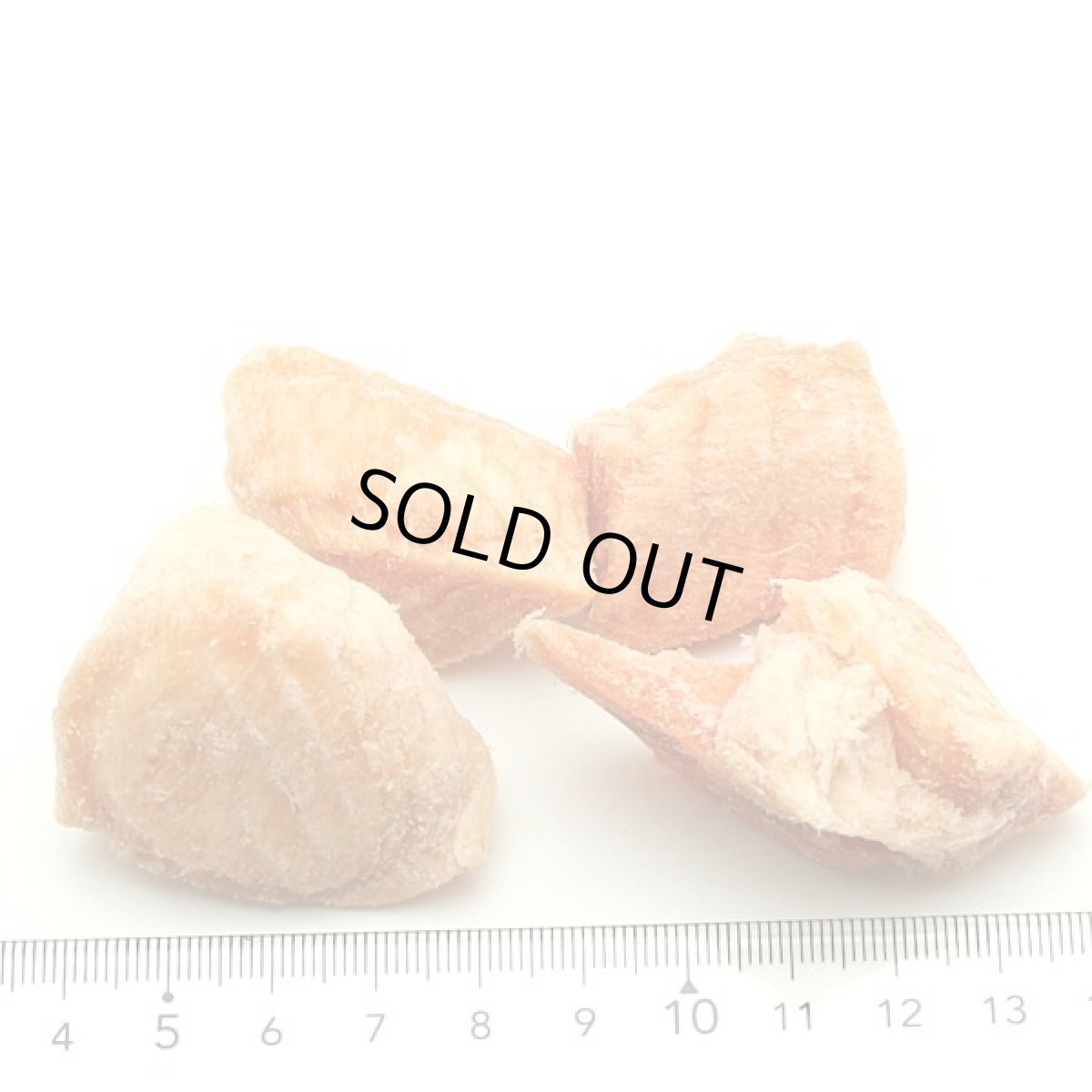 画像2: 最短賞味2027.5・ベイリーコー 犬用フリーズドライ キングサーモン70gおやつBailey+Co正規品bacnss70 (2)