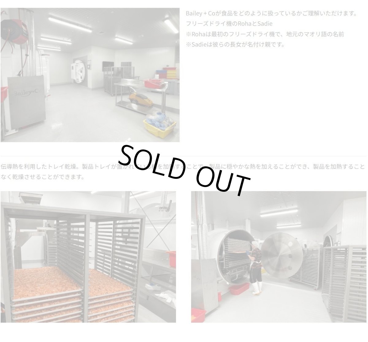 画像7: 最短賞味2027.5・ベイリーコー 犬用フリーズドライ ビーフボーンブロス オリジナル30gおやつorスープBailey+Co正規品bacnsso30 (7)