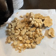画像8: NEW 最短賞味2027.1・ベイリーコー 犬用フリーズドライ ビーフボーンブロス プロバイオティクス65gおやつorスープBailey+Co正規品bacnssp65 (8)