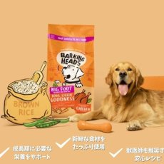 画像4: NEW 最短賞味2027.3.10・バーキングヘッズ リッキン グッドネス チキン大粒 ドライドッグフード 12kg大型犬用bck12-bh10056 BARKING HEADS正規品 (4)