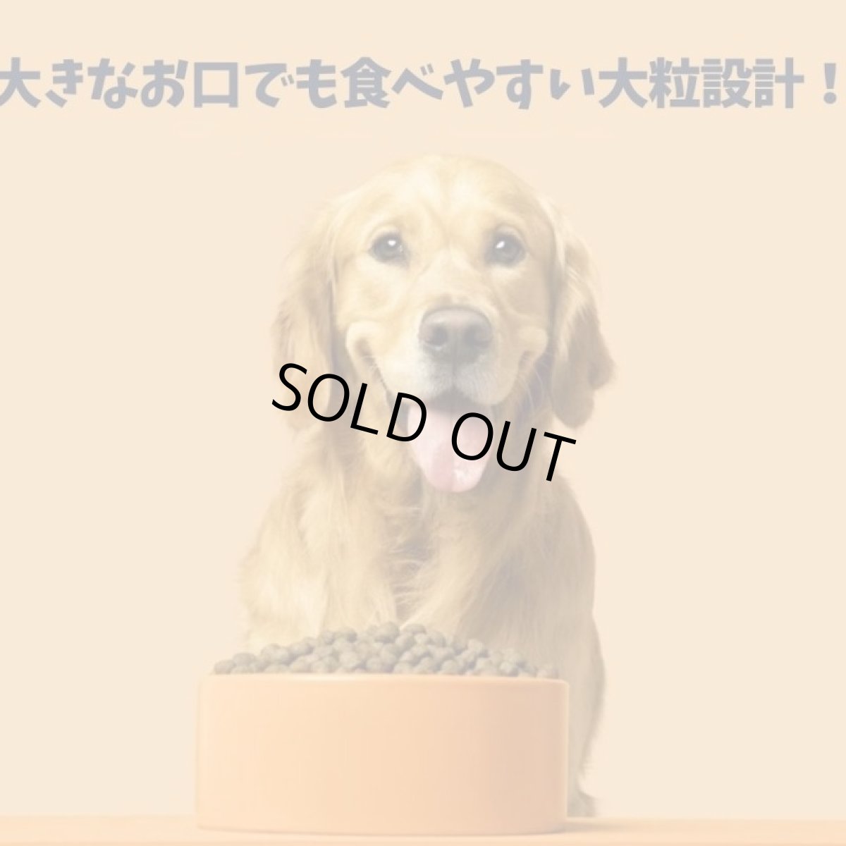 画像5: NEW 最短賞味2027.3.10・バーキングヘッズ リッキン グッドネス チキン大粒 ドライドッグフード 12kg大型犬用bck12-bh10056 BARKING HEADS正規品 (5)