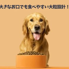 画像5: NEW 最短賞味2027.3.10・バーキングヘッズ リッキン グッドネス チキン大粒 ドライドッグフード 12kg大型犬用bck12-bh10056 BARKING HEADS正規品 (5)
