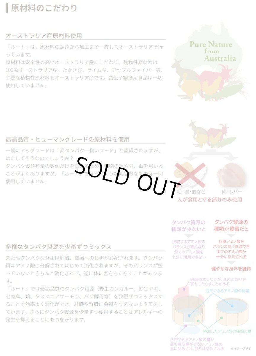 画像4: 最短賞味2026.9・ビィナチュラル ルート・ブレンド ポーク小粒 2.8kg 全年齢犬用ドライ ドッグフード正規品be53533 (4)