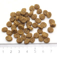 画像2: 最短賞味2026.2.12・ブリスミックス 犬 チキン 小粒 3kg 全年齢対応ドッグフード 口腔善玉菌K12配合BLISMIX正規品bl60587 (2)
