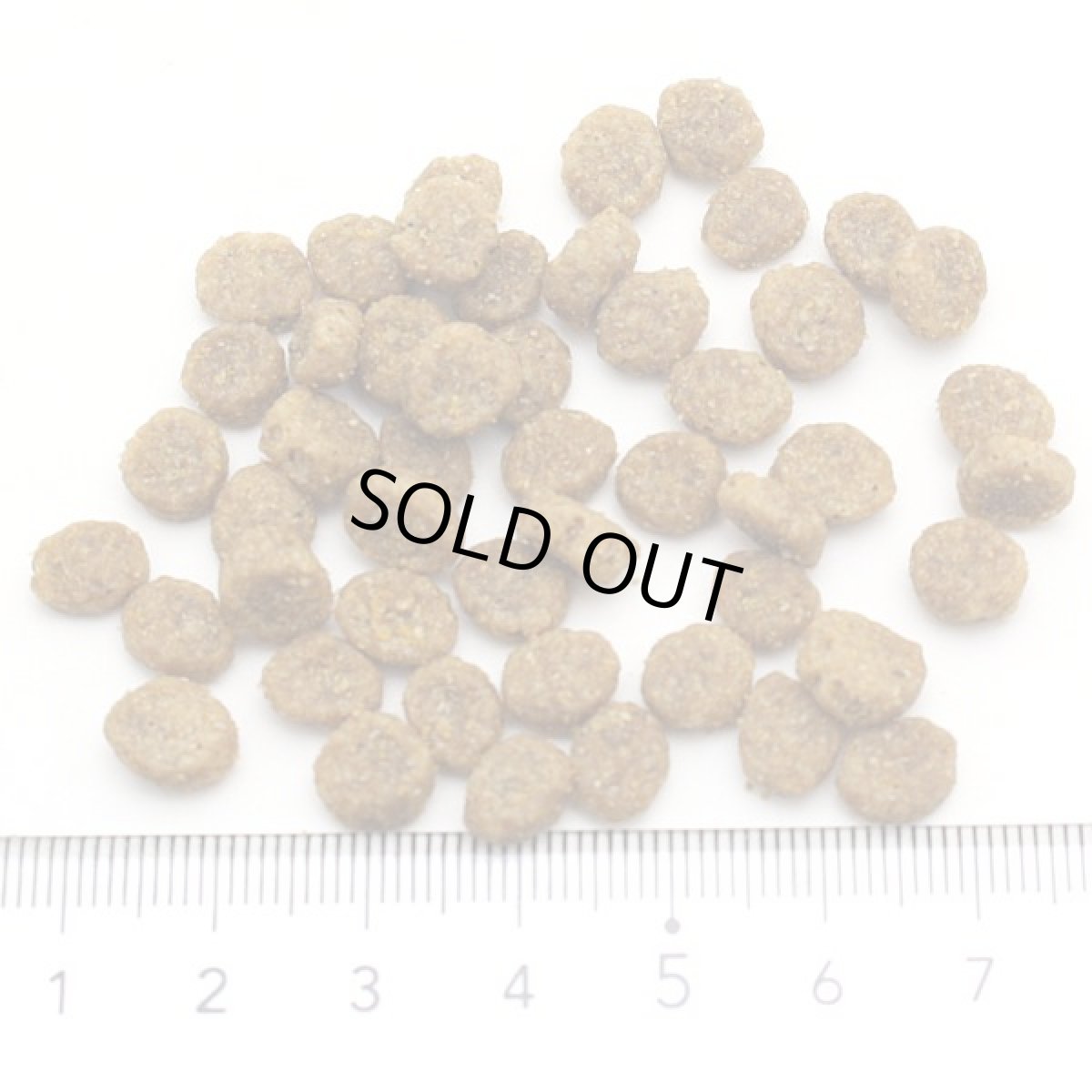 画像2: 最短賞味2027.1.30・ブリスミックス 犬 チキン 小粒 6kg 全年齢対応ドッグフード 口腔善玉菌K12配合BLISMIX正規品bl60594 (2)