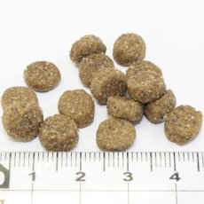 画像2: 最短賞味2025.4.15・ブリスミックス 犬 サーモン 小粒 1kg 全年齢対応ドッグフード 口腔善玉菌K12配合 BLISMIX 正規品 bl60174 (2)