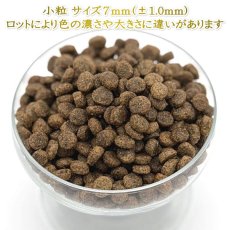 画像2: NEW 最短賞味2027.3.8・ボレアル 犬 オリジナル サーモン 小粒80g全年齢犬用ドッグフードBOREAL正規品bor09721 (2)