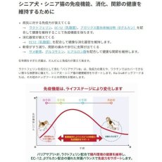 画像6: NEW 最短賞味2028.6・バリアサプリ ドッグ＆キャット アダルト・シニア 90g 成犬猫 シニア犬猫用 免疫・関節・胃腸サポート bs50913 (6)