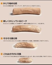 画像4: NEW CANOPHERA キャノフィラ デンタル チュースティック １本入 サイズ XS 正規品 ca51106コーヒーの木 (4)