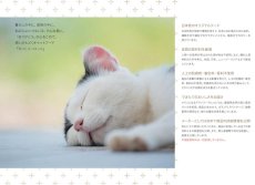 画像4: 最短賞味2025.4・カントリーロード フィーラインアドバンス チキン&ベジタブル70g成猫シニア猫用 総合栄養食cr09817 (4)