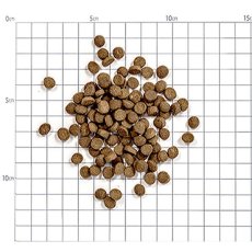 画像2: 最短賞味2026.10・カントリーロード お魚でつくった腎臓ケア チキン＆ポーク100g 成猫用cr12572 (2)