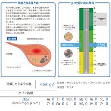 画像5: 最短賞味2026.12・pH バランス キャット ウォーター 500ml 猫 水 ペット 天然水 水分補給cw60100 (5)