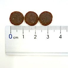 画像5: 最短賞味2026.5.17・エンパイア アダルトデイリー小粒 800g(400g×2)成犬用ドライ ドッグフードEMPIRE正規品em31040 (5)