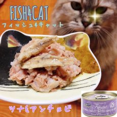 画像2: 最短賞味2024.8・フィッシュ4キャット 猫缶「ツナ＆アンチョビ」 70g缶 全猫種・全年齢対応ウェット・一般食・fish4cats 正規品 f4c02066 (2)