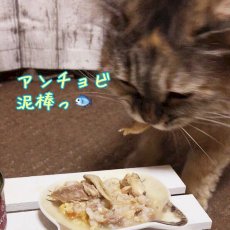 画像5: 最短賞味2025.2・フィッシュ4キャット 猫缶「サバ＆アンチョビ」 70g缶 全猫種 全年齢ウェット 一般食 fish4cats 正規品 f4c06965 (5)