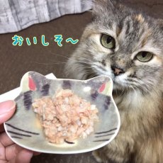 画像3: 最短賞味2025.11・フィッシュ4キャット 猫缶「ツナ＆カニ」 70g缶 全年齢対応一般食キャットフード 正規品 f4c29558 (3)