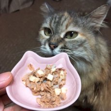 画像3: 最短賞味2025.10・フィッシュ4キャット 猫缶「ツナ＆チーズ」 70g缶 全猫種 全年齢ウェット 一般食fish4cats正規品f4c29596 (3)