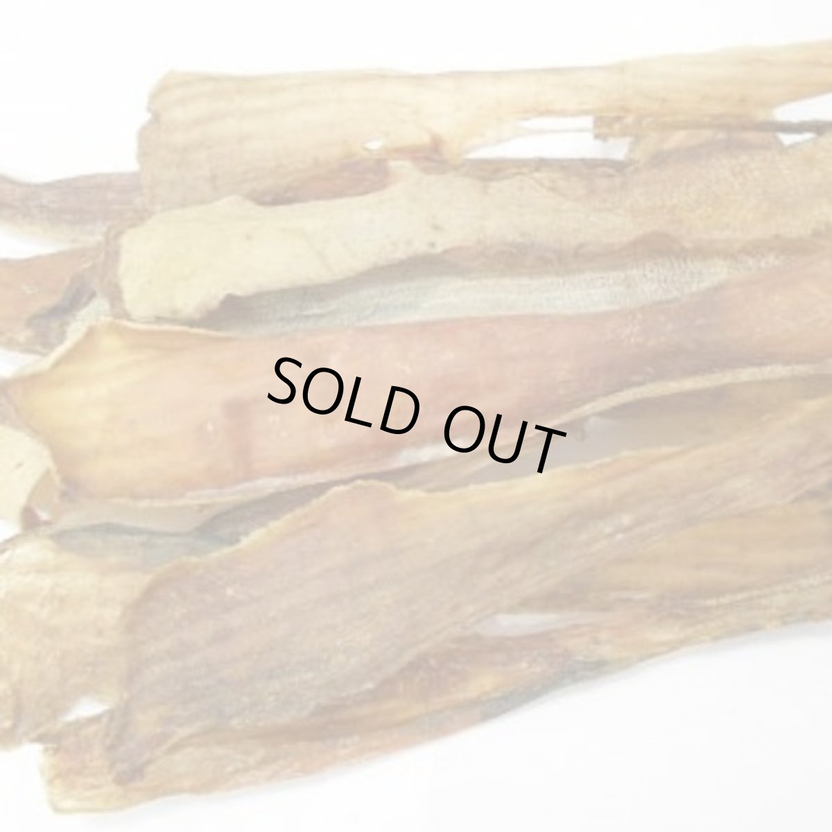 画像2: 最短賞味2027.1・フィールドエイト 牛タン皮500g 犬用おやつ 国産 無添加febtanskin500 (2)