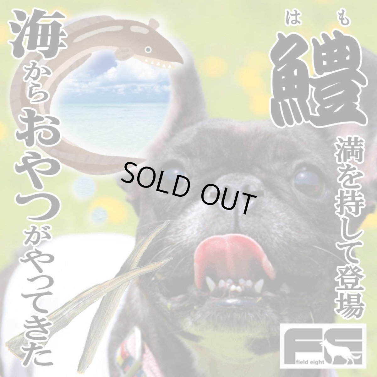 画像6: NEW 最短賞味2026.11・フィールドエイト ハモしっぽカットスティック100g 犬猫用おやつ 国産 無添加 fehamoc100 (6)