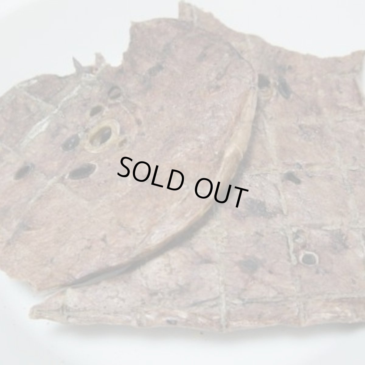 画像2: 最短賞味2026.5・フィールドエイト 馬ラング20g 犬用おやつ 国産 無添加 fehlang20 (2)