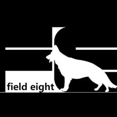 画像5: NEW 最短賞味2026.5・フィールドエイト うなぎカットスティック150g 犬用おやつ 国産 無添加 feunacstick150 (5)