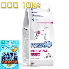 画像1: おまけ付き！最短賞味2025.6・フォルツァ10 犬 インテシティナル アクティブ 中粒 10kg大袋 胃腸ケア ドッグフード FORZA10正規品fo00480 (1)