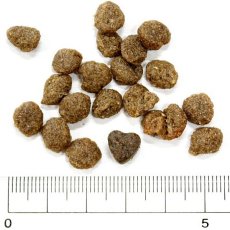 画像2: 最短賞味2025.6・フォルツァ10 犬用 デイリィベト 小粒2kg 成犬用ドライ ドッグフード 免疫ケア FORZA10正規品fo01958 (2)