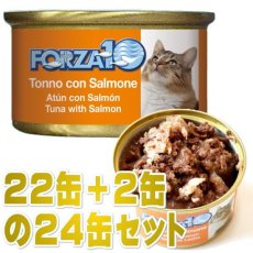 画像1: 最短賞味2026.10・フォルツァ10 猫 メンテナンス マグロ＆サーモン 85g×24缶 一般食ウェット キャットフードFORZA10正規品fo05654s24 (1)